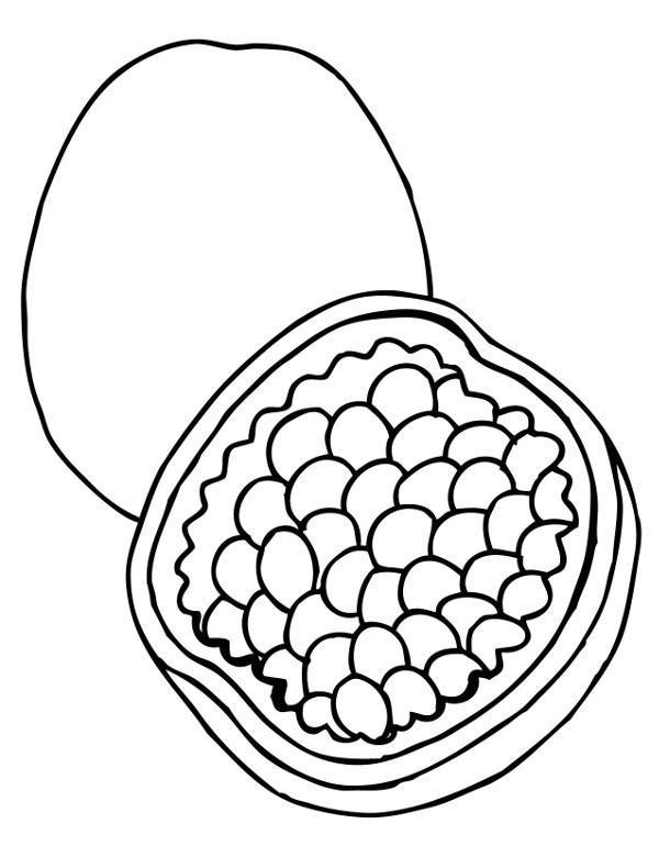 Owoc granatu
