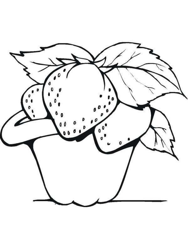 Truskawki 