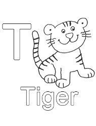 Tiger tygrys kolorwanka po niemiecku