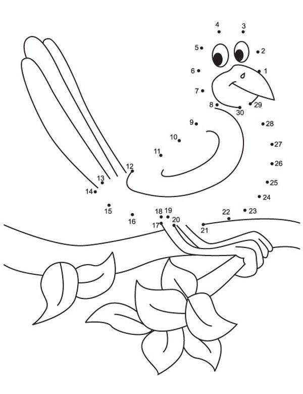 Połącz numery ptak