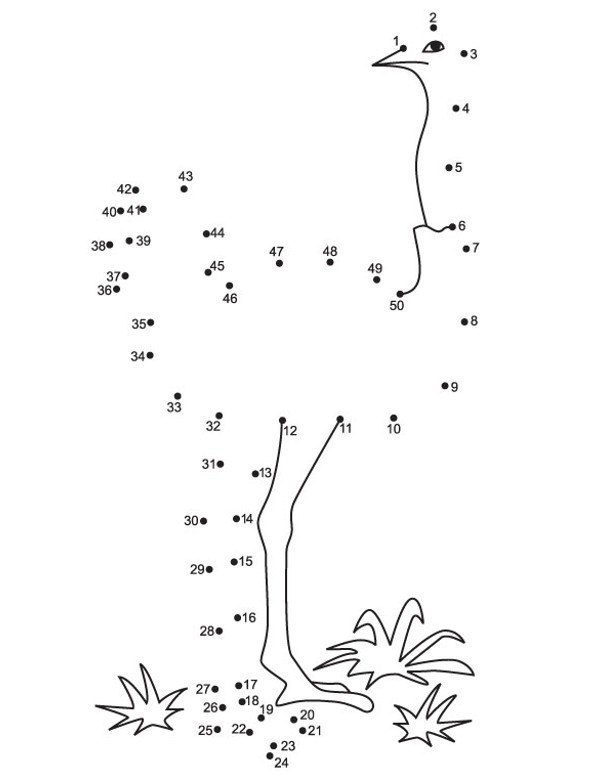 Struś połącz numery obrazek dla dzieci