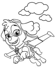 Skye Paw Patrol