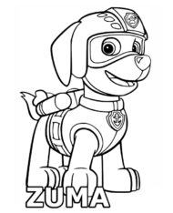 Zuma Psi Patrol