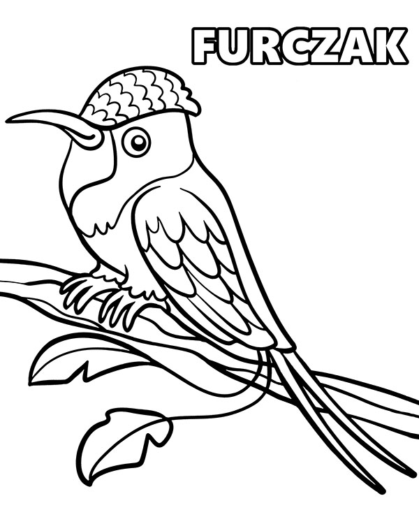 Furczak koliber kolorowanki z ptakami