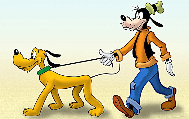 Pluto i Goofy na spacerze 