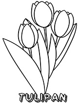 Trzy tulipany kolorowanka dla dziecka