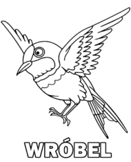 Wróbel kolorowanka do wydrukowania