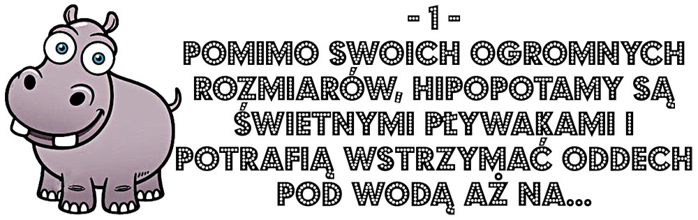 Quiz pytanie o nosorożca