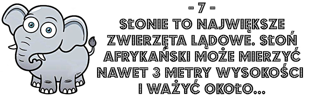 Słoń pytanie quiz