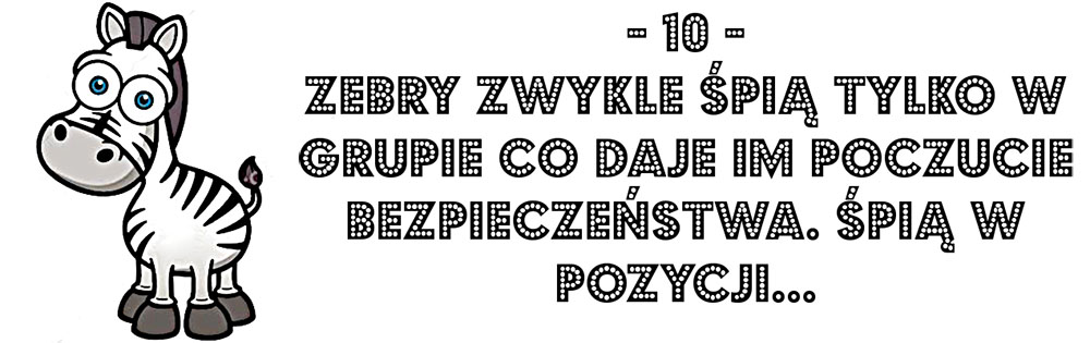 Zebra pytanie quizowe