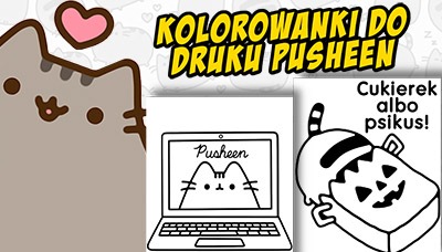 Baner Pusheen kotek kolorowanki