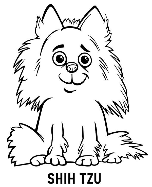 Shih tzu kolorowanka z pieskiem