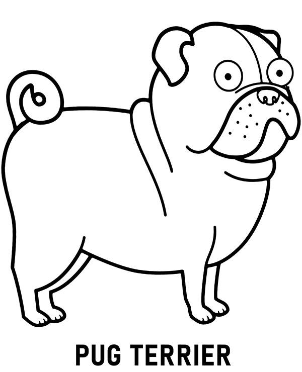 Pug terrier kolorowanka z psem