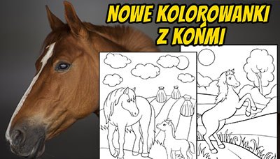 Nowość kolorowanki konie i kuce mobile