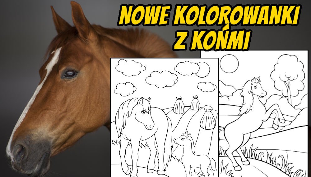 Nowość kolorowanki konie i kuce