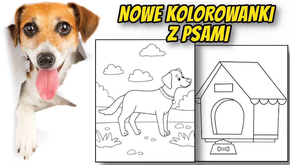 Nowe kolorowanki psy baner