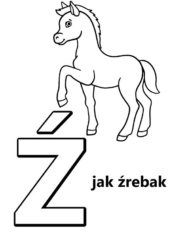 Litera Ź jak źrebak alfabet do nauki