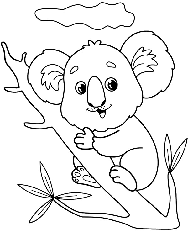 Koala kolorowanka dla dzieci