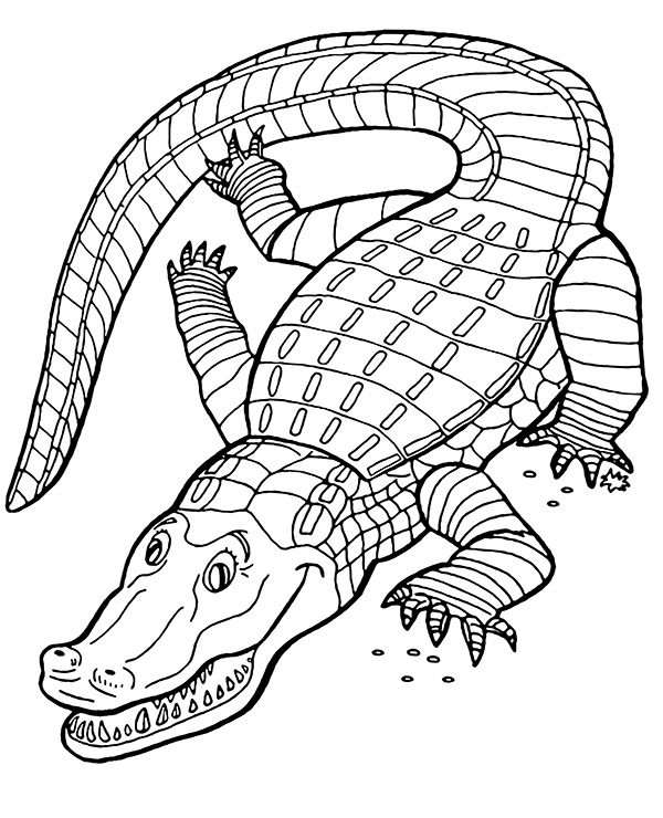 Kolorowanka krokodyl nilowy