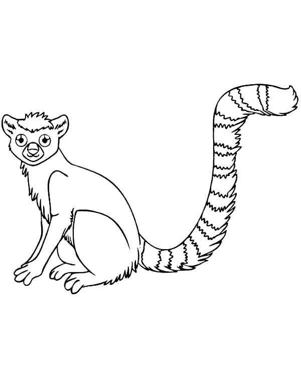Realistyczny lemur kolorowanka