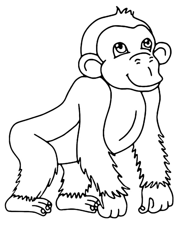 Szympans kolorowanka małpa