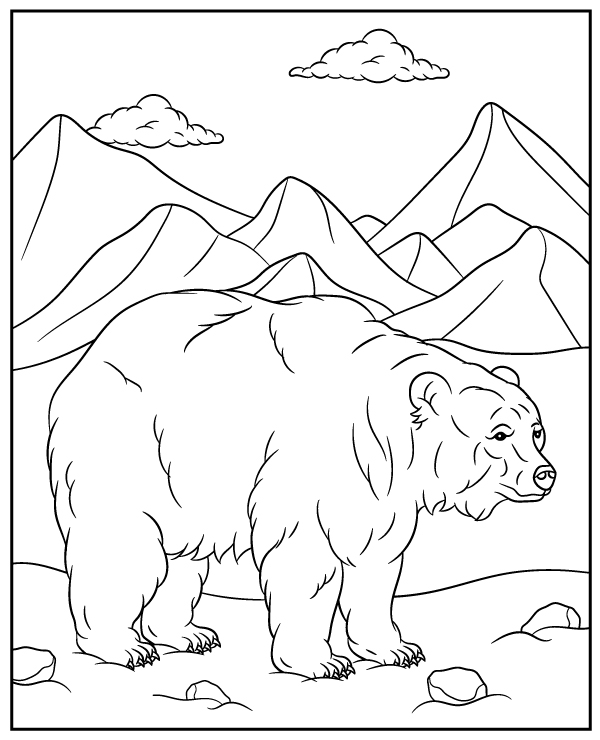 Darmowa kolorowanka niedźwiedź brunatny