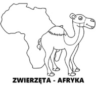 Zwierzęta z Afryki kolorowanki do druku