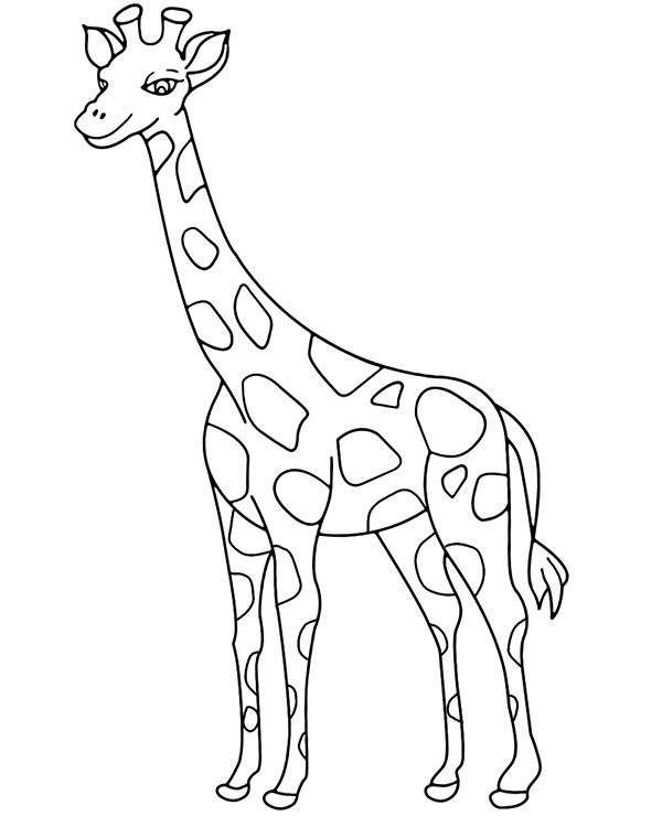 Żyrafa kolorowanka do druku