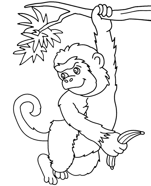 Małpa kapucynka kolorowanka do druku