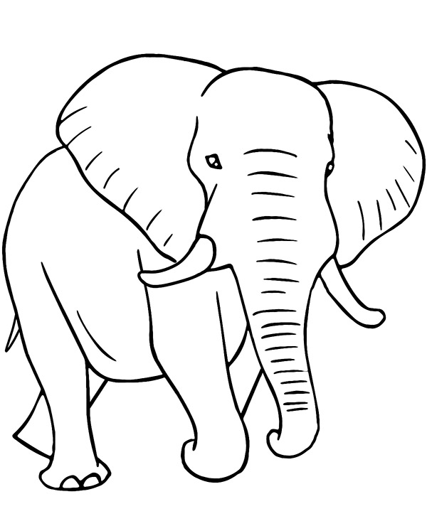 Azjatycki słoń kolorowanka do druku