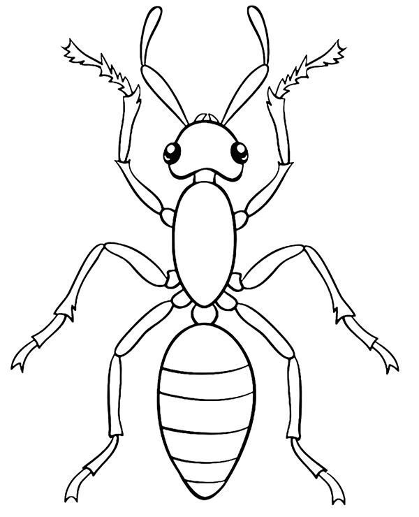 Realistyczna mrówka kolorowanka do druku