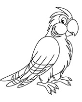 Bajkowa papuga kolorowanka dla dzieci z ptakiem