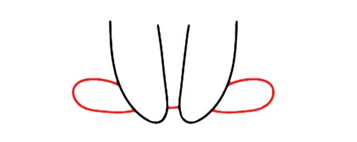 Jak narysować rysunek królika - krok 2 tylne łapki