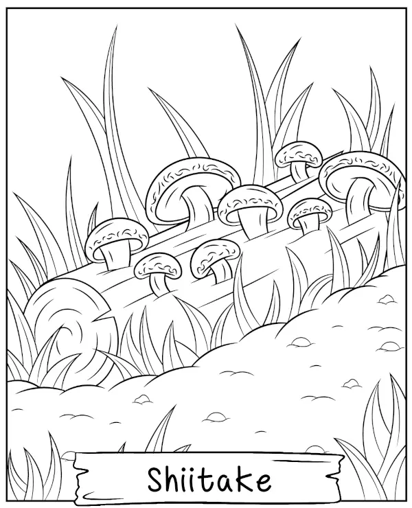 Grzyb shiitake kolorowanka do druku