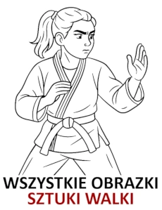 Sztuki walki kolorowanki zagregowane