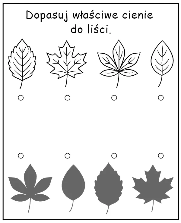 Dopasuj cienie do liści - zadanie dla dzieci na jesień