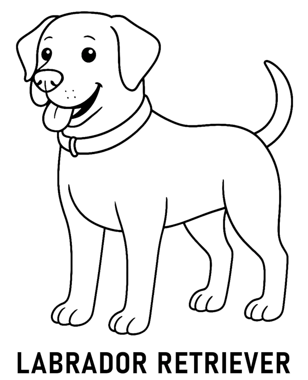 Pies labrador retriever kolorowanka do druku
