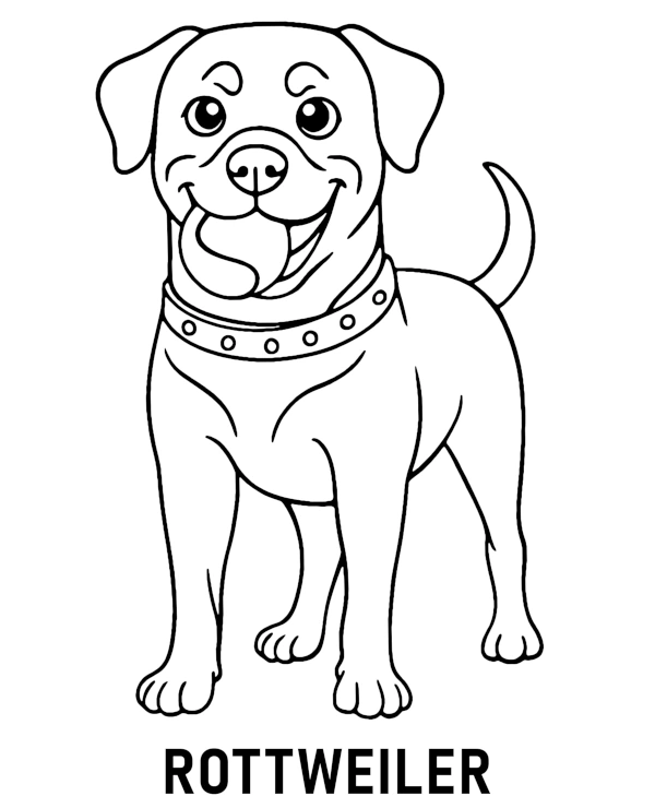 Pies rottweiler kolorowanka do druku dla dzieci