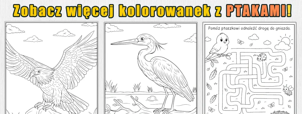Baner więcej kolorowanek z ptakami